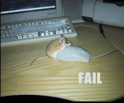 fail-blogs