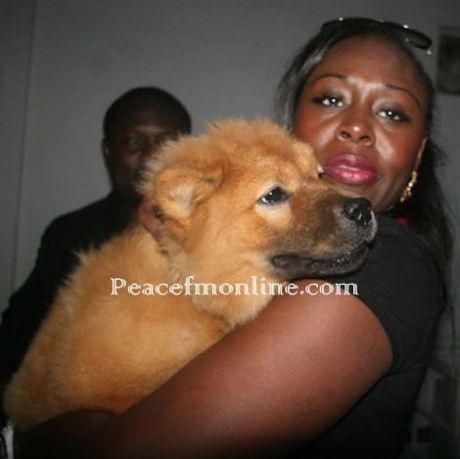 Confidence And Her Dog Confidence And Her Dog