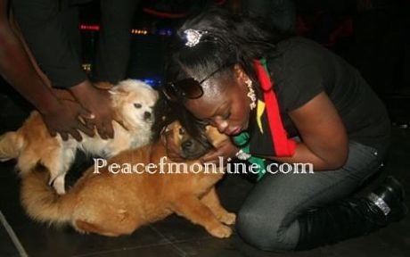 Confidence's Dogs Confidence's Dogs