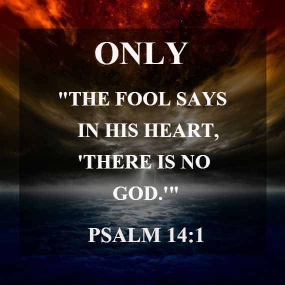 Only A fool